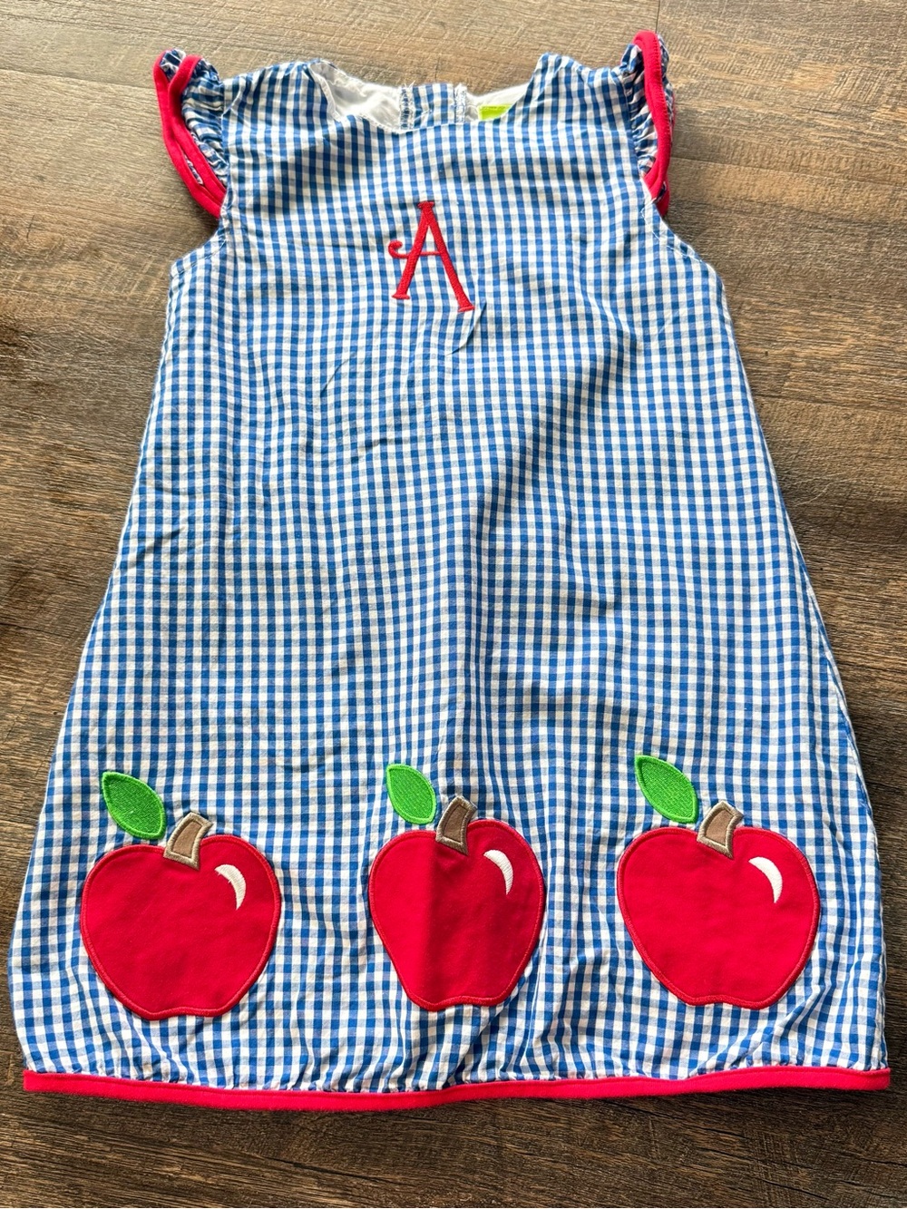 Classic Whimsy girls dress size 6